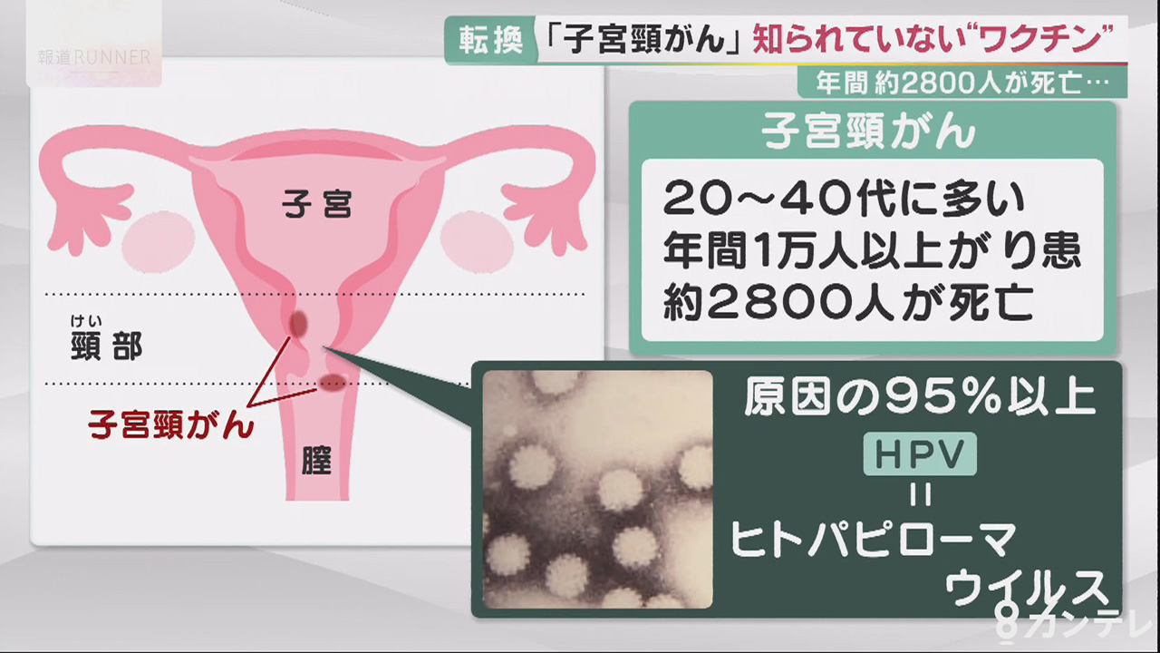ガン断ち宣言―三万人の症例から得たガン制圧法