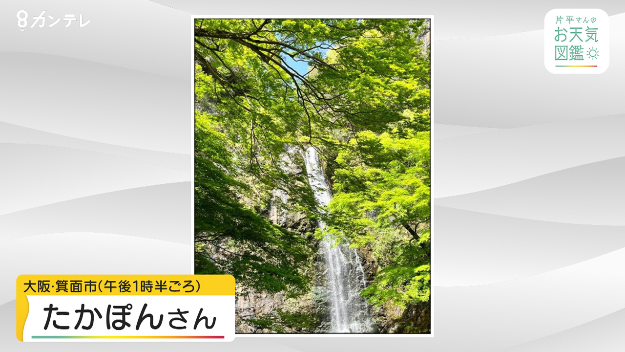 【お天気図鑑】天気がいいので「箕面の滝」を散策　新緑に映える滝