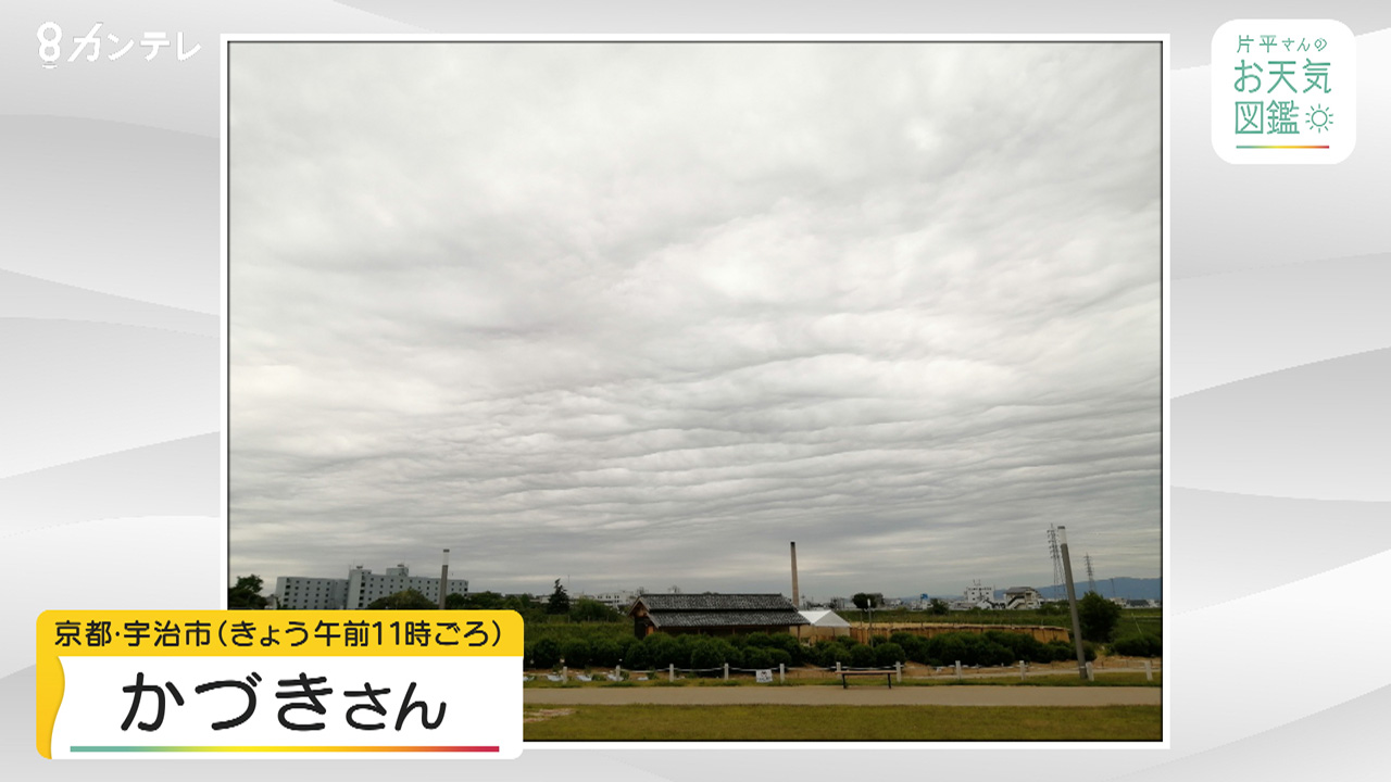 【お天気図鑑】飛行機雲は天気が崩れるサイン！？（京都・宇治市）