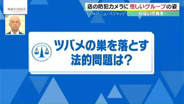 1羽は助からず…ヒナ6羽いたツバメの巣を若者らが棒で落とす　菊地弁護士「これは犯罪です」考えられる罪と罰
