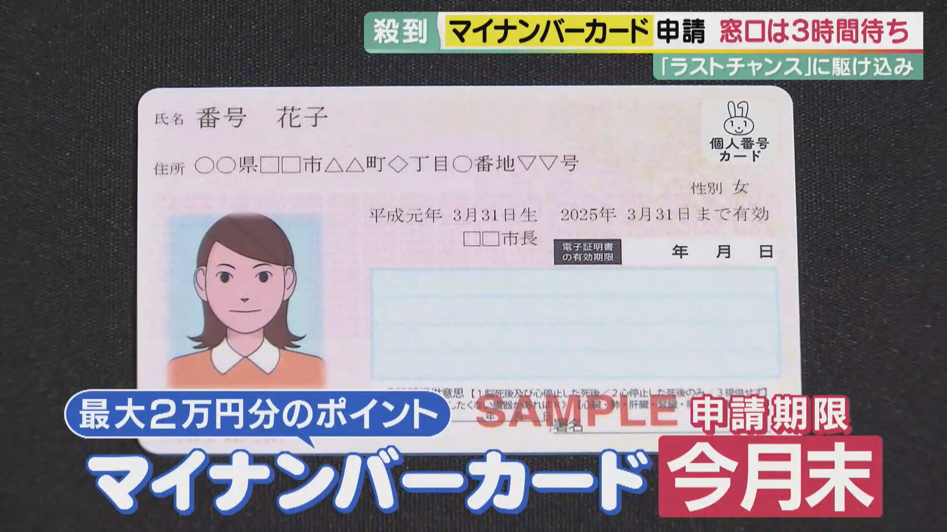 「マイナンバーカード」ポイントはもらいたい！でも情報の扱いは心配…メリットと安全性について解説