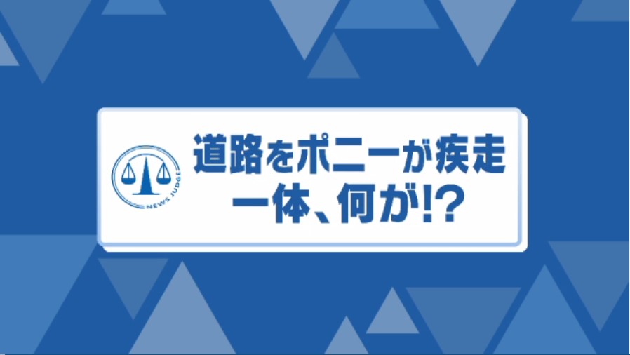 突然道路に現れた黒い影…ポニー2頭が街を疾走「施錠が甘く柵から出てしまった」飼い主が問われる法的責任