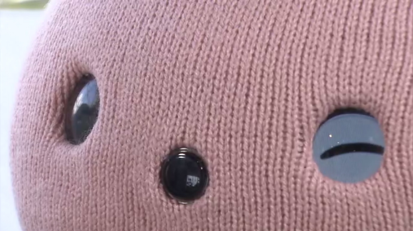 パーソナリティ障害にはどのような CBT テクニックが使用されますか?