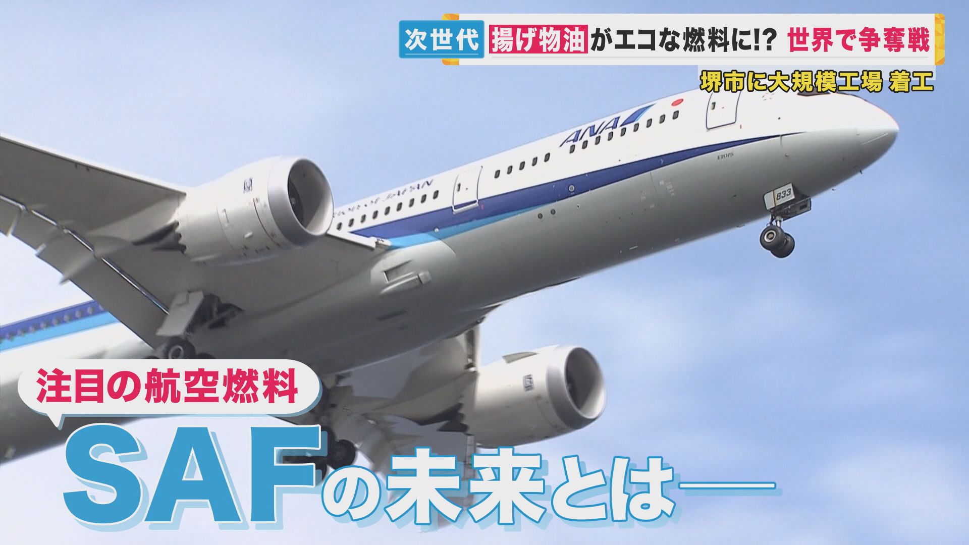 串カツの油が飛行機燃料に使われていた！フライ（fry）からフライ（fly）へ　 実は今、世界で“揚げ物油”争奪戦　キッチンの油は都市油田になるかも