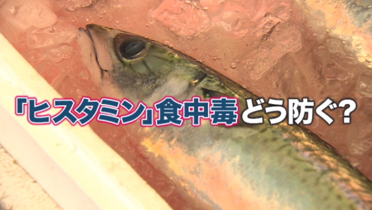 『ヒスタミン食中毒』　奈良で保育園児40人以上発症　サバやマグロなど魚に多いが　チーズ・野菜・うどんだしパックに“ヒスタミン”含まれていた事例も　加熱しても防げず　舌先にピリっと感じたら要注意