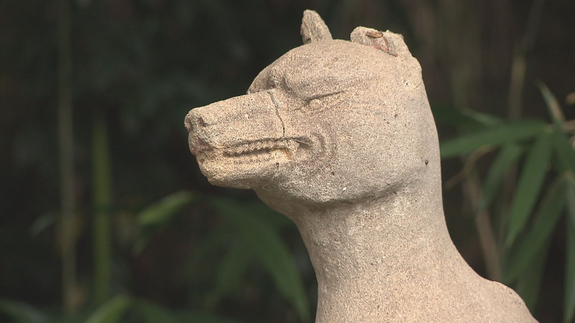 学校に行くと上履きがない…　家や学校から靴やサンダルが次々と盗まれる事件　地元の人は「キツネにつままれたような感じやね」　狙われるのは”使用済み”　近くの山で約100足が見つかる