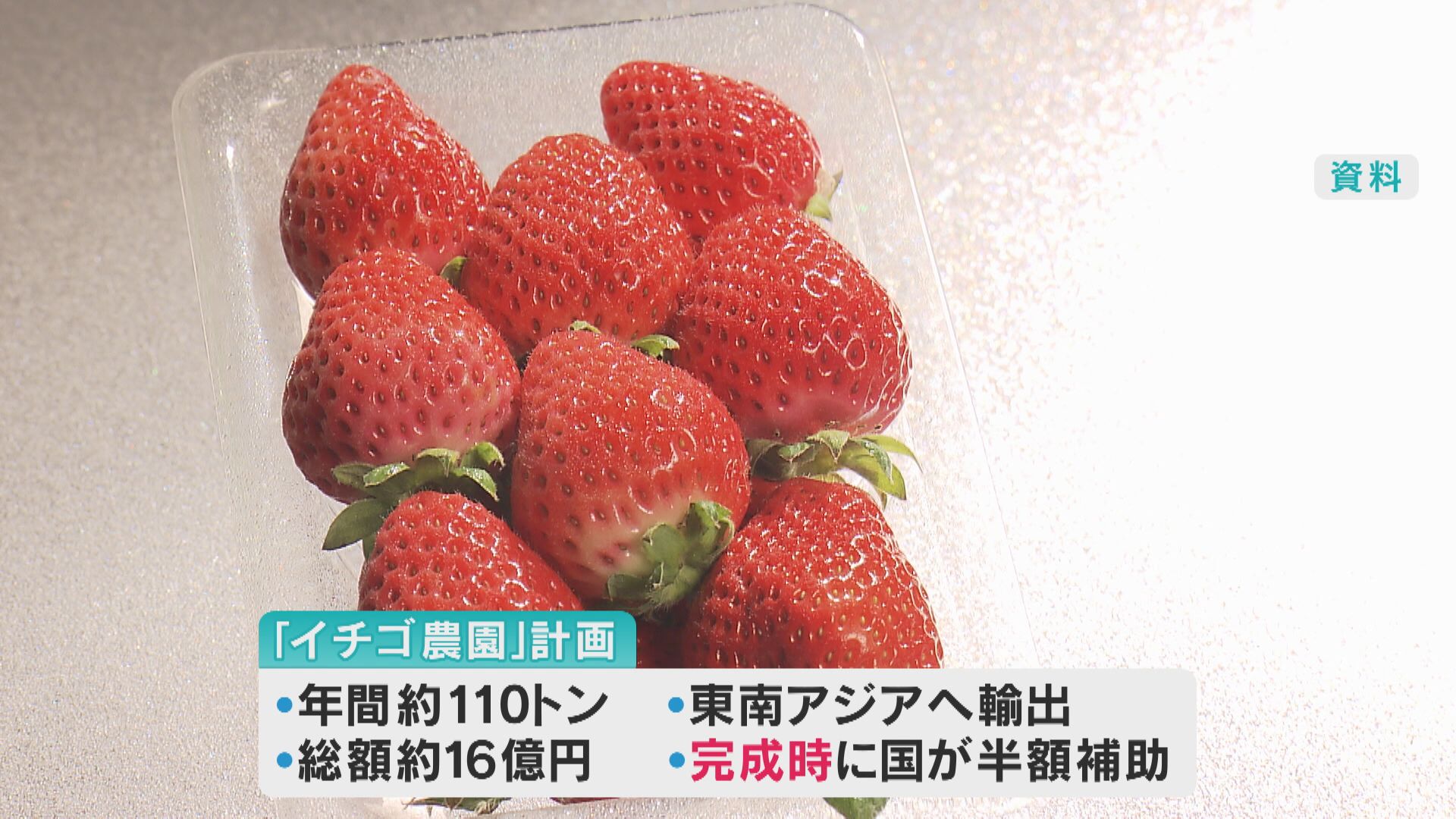 消えた3億7000万円 自然豊かな滋賀県・高島市で町おこしの「イチゴ農園