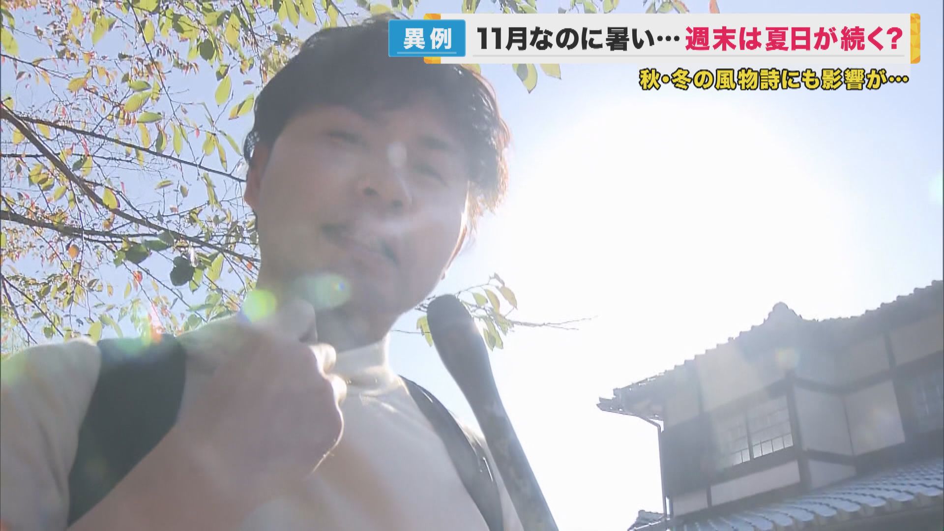 11月なのに異例の「夏日」予報　暑さの影響で生育が早まる野菜　鍋に必須の