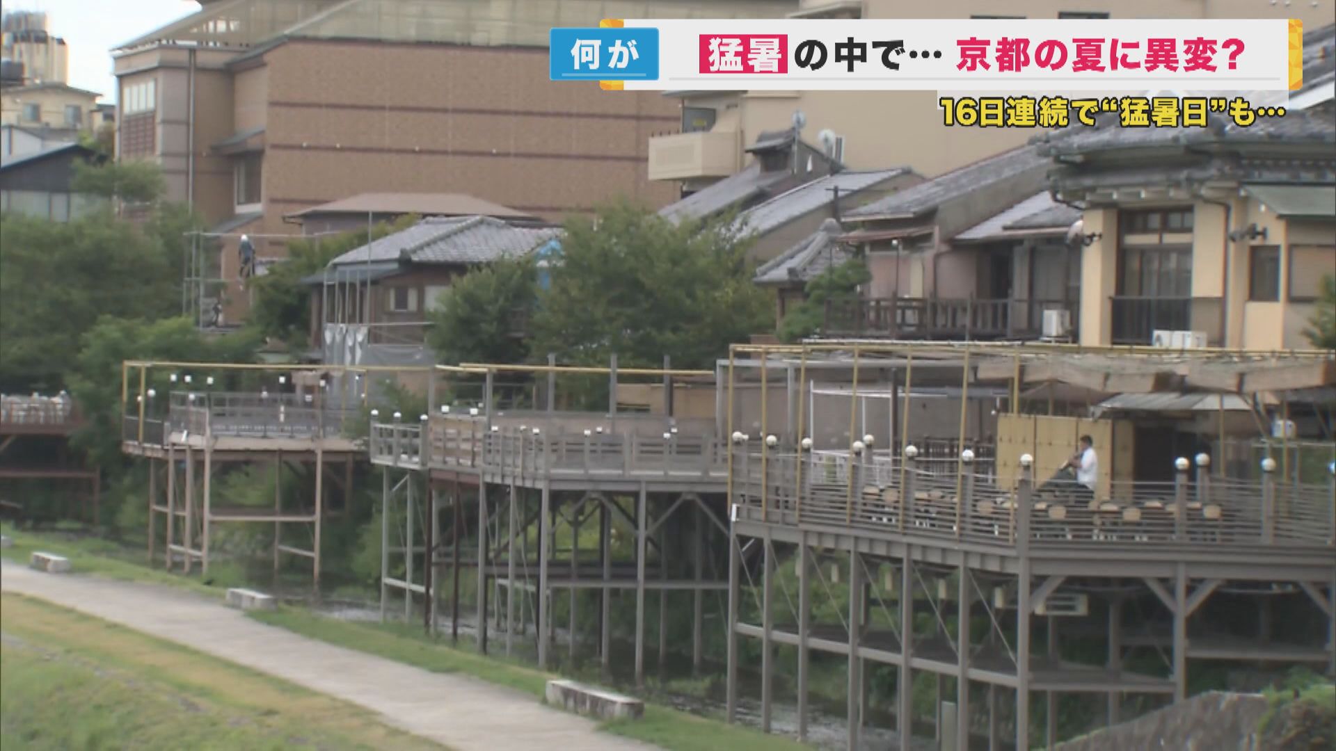 Kyoto’s Summer time Warmth: Impression on Traditions, Sightseeing, and Outside Actions for 2024