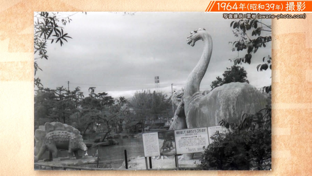 天王寺動物園のクマは「僕の師匠」と西川きよしさん 天王寺にいた