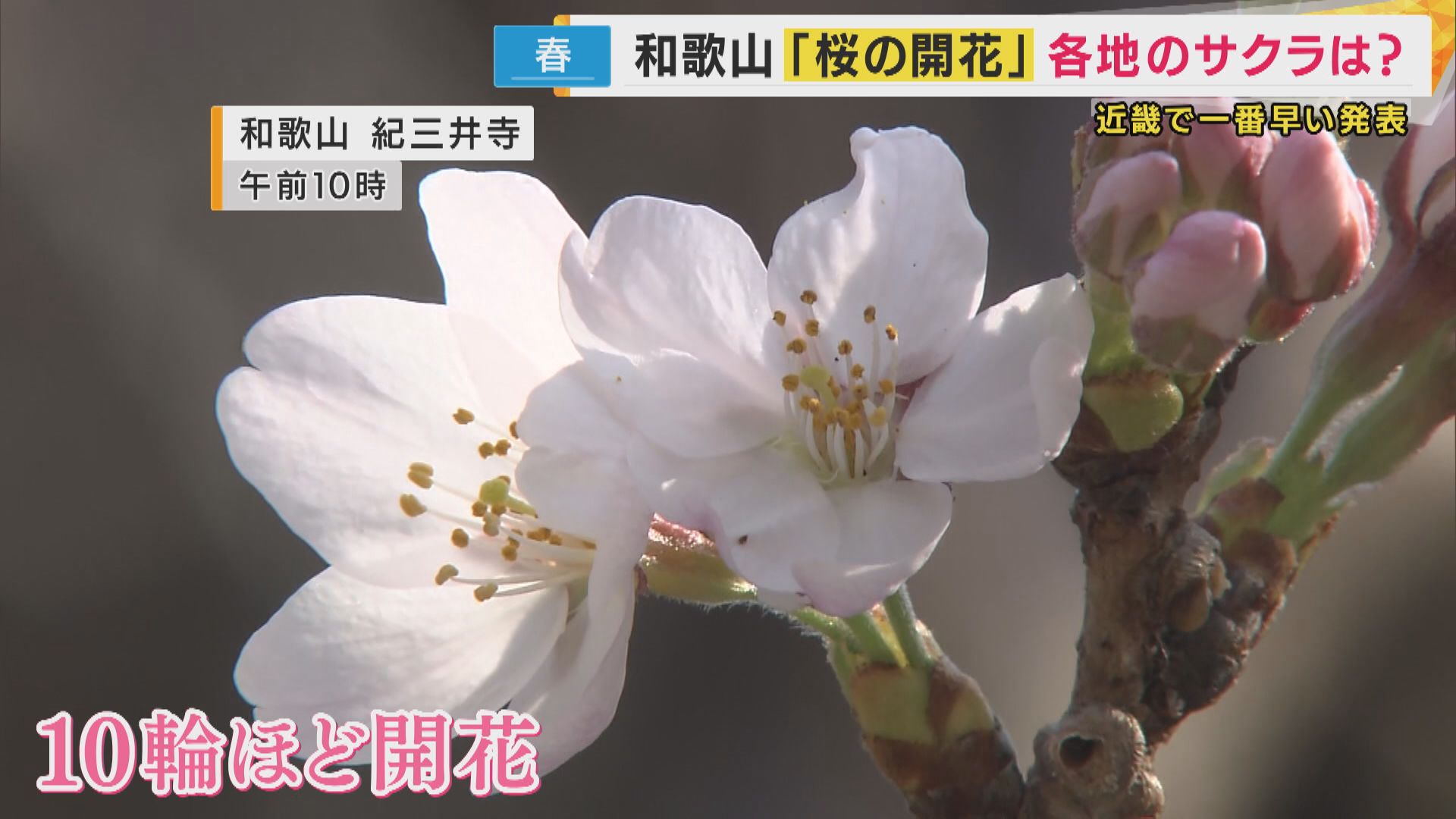 苦境続く