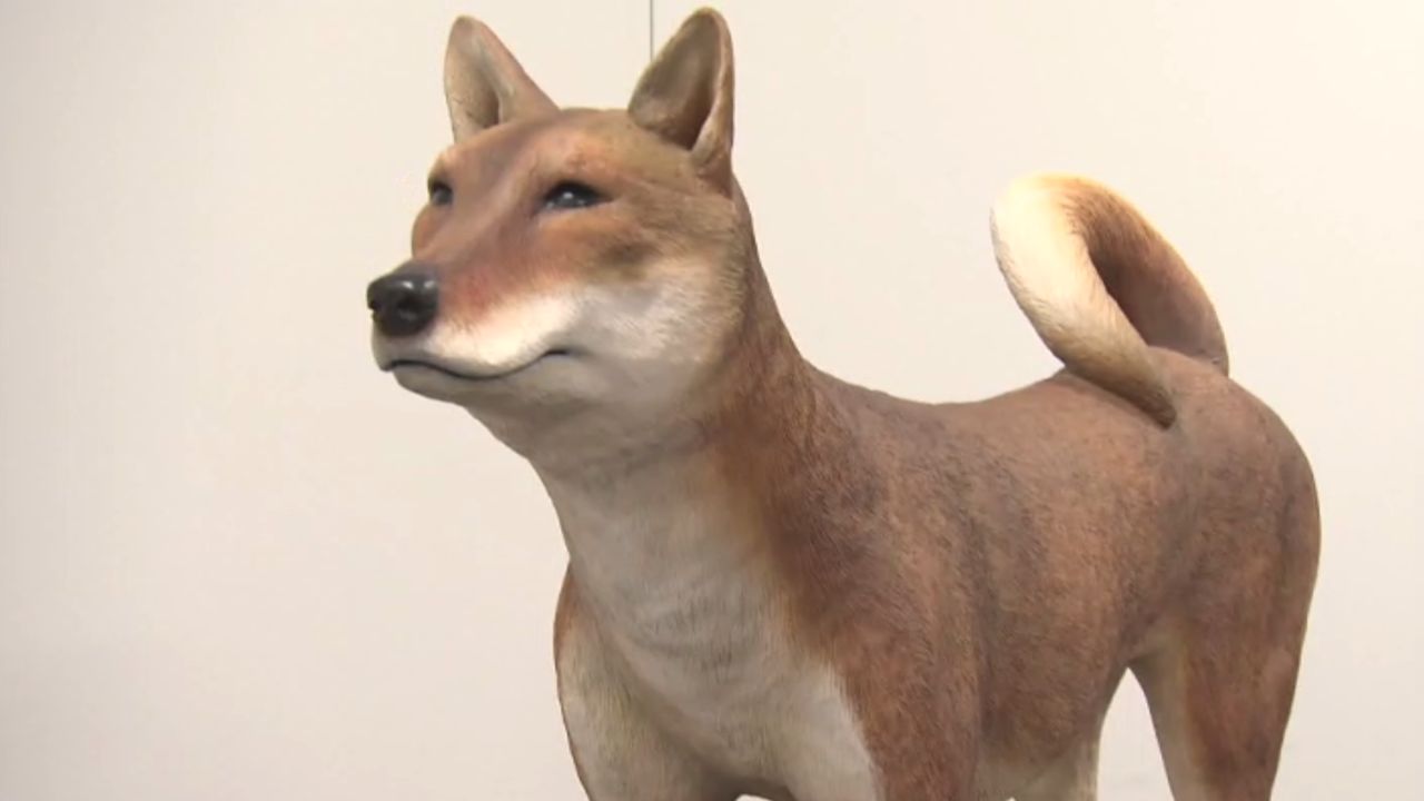 卑弥呼もかわいがった？「纏向犬」邪馬台国の“有力候補地