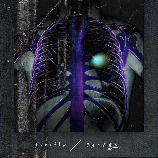 6th Single「Firefly」