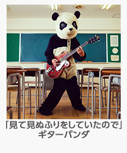 「見て見ぬふりをしていたので」 ギターパンダ