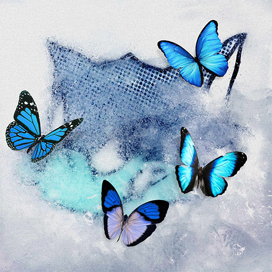 2nd シングル 「Frozen Butterfly」