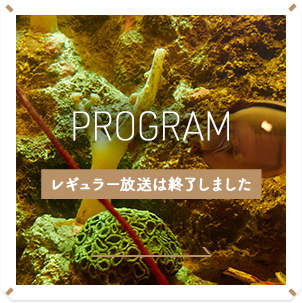 レギュラー放送は終了しました