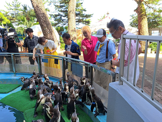 渋谷凪咲、岡村隆史、村上ショージ、間寛平