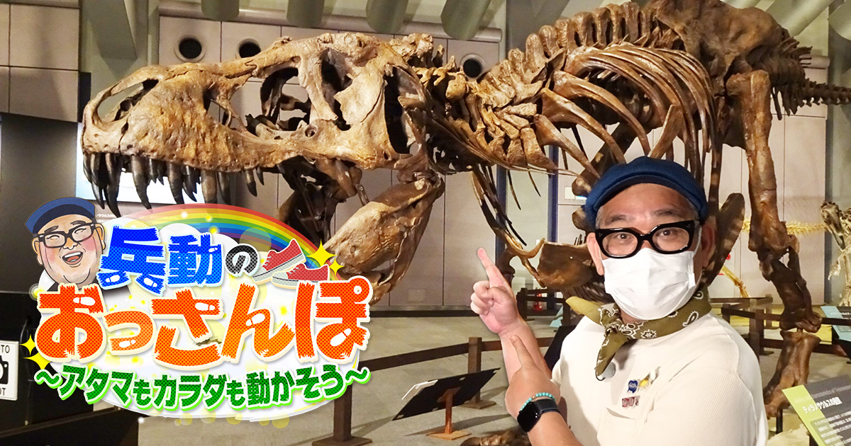 兵動のおっさんぽ アタマもカラダも動かそう 関西テレビ放送 カンテレ 兵動のおっさんぽ アタマもカラダも動かそう 関西テレビ放送 カンテレ