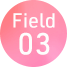 Field04