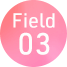 Field03