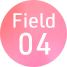 Field04