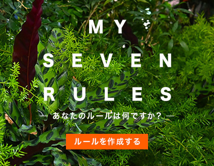 MY SEVEN RULES-あなたのルールは何ですか？- ルールを作成する