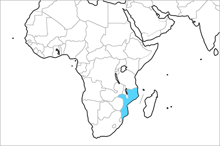 モザンビーク共和国
