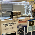 夢キタ万博2024 KITAKU WORK WORK EXPOに、今年もMBSさんと共に参加しました!