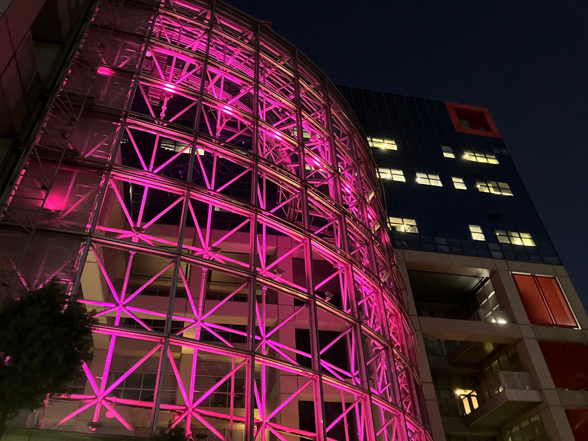 乳がんの予防・啓発「ピンクリボン運動」・社屋をピンクライトアップ
