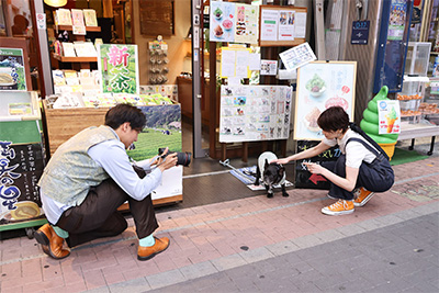 祝R-1グランプリ優勝 絶景！珍景！？田津原理音のザ・激写コレクション―決定的瞬間をカードにしちゃいましたー