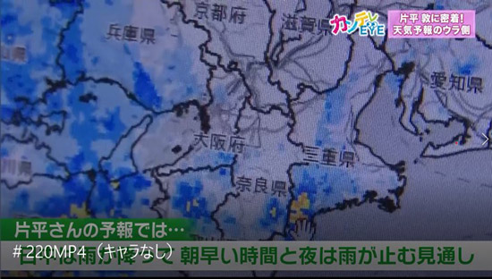 朝は前日に出した自分の予報と実際の天候を比較する