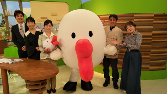 スタジオにもハチエモンが
