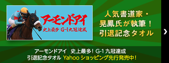 人気書道家・晃鳳氏が執筆！ 引退記念タオルアーモンドアイ　史上最多！G-1九冠達成　 引退記念タオル　Yahooショッピング先行発売中！