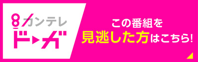 カンテレドーガ この番組を見逃した方はこちら！