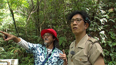 アンタッチャブル(柴田英嗣)