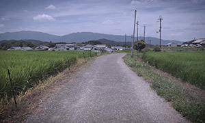 筋違道