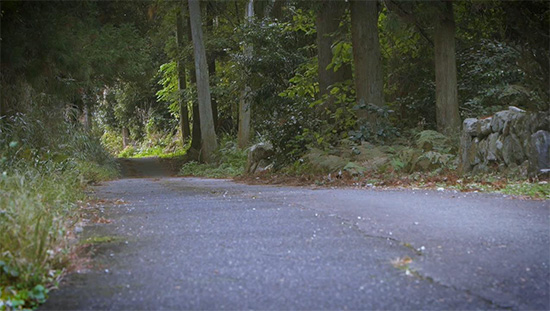 西近江路