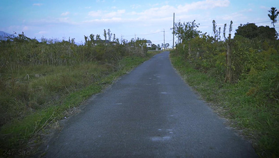 西近江路