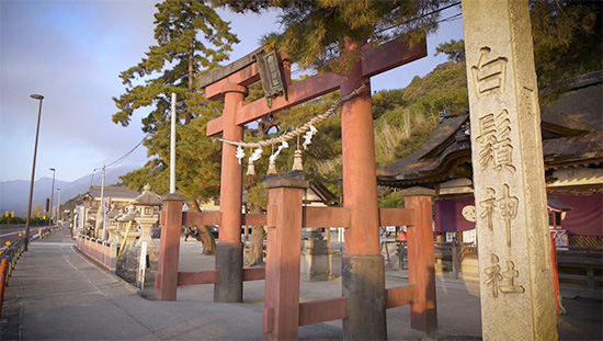 白鬚神社