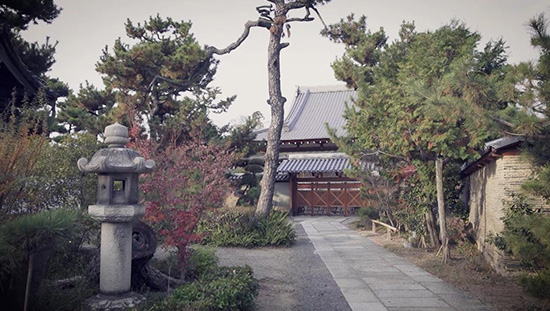 南宗寺