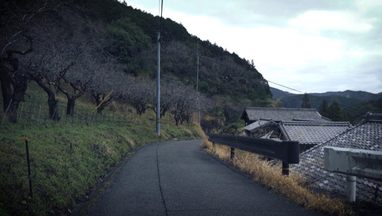 龍神街道