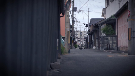 孝子越街道