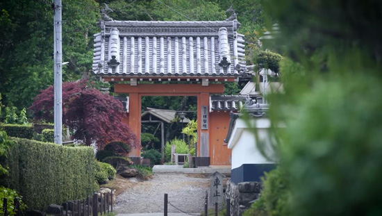 理智院
