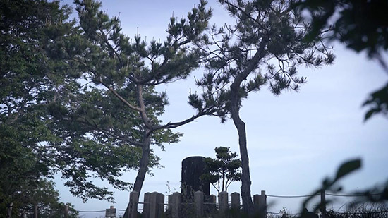 お菊髪結いの松