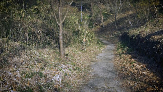 十三街道
