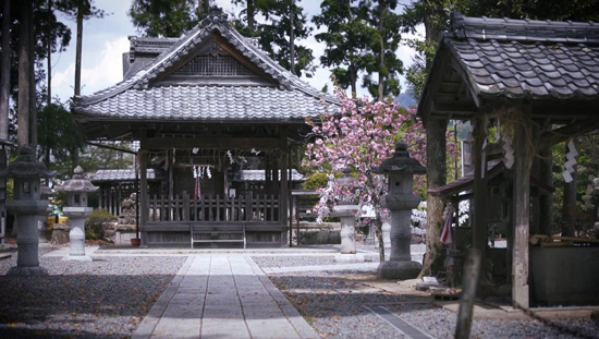篠村八幡宮