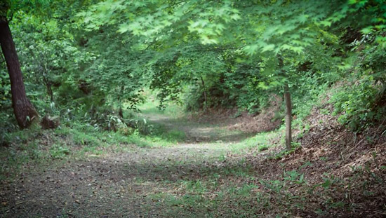 深坂峠