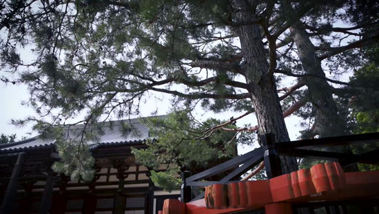 高野山