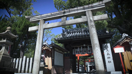 信太森葛葉稲荷神社
