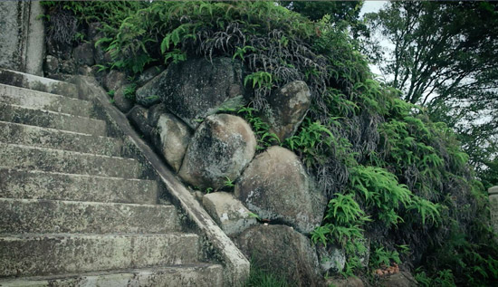 野見宿禰神社